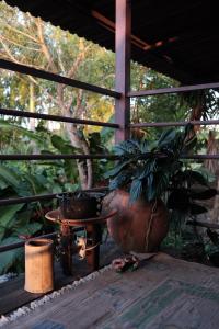 ビジャエルモサにあるhabitación dentro kaabna spaのギャラリーの写真