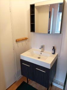 bagno con lavandino e specchio di Le studio Naturel a Hénin-Beaumont