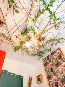 una stanza con soffitto con piante di Le studio Naturel a Hénin-Beaumont