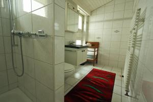 a bathroom with a shower and a toilet and a red rug at Dorf-Schmiede - Bed und Breakfast in Müllheim