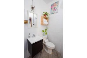 a bathroom with a toilet and a sink at Casa Colonial Remodelada En El Barrio De Santa Ana in Mérida