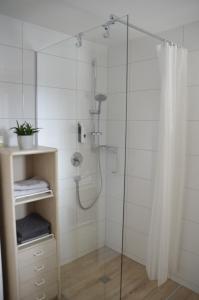 a bathroom with a shower with a glass door at Apartments "Am Ardetzenberg" in Feldkirch