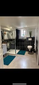 a bathroom with a shower and a toilet and a sink at Convivialetzen in Châtenoy-le-Royal