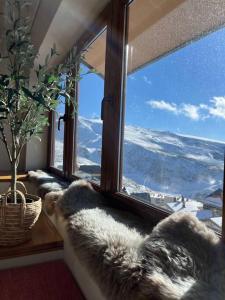 two dogs laying on a window sill looking out at ¡A pie de pistas! in Monachil