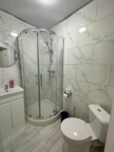 考文垂的住宿－Regent Cosy，带淋浴、卫生间和盥洗盆的浴室