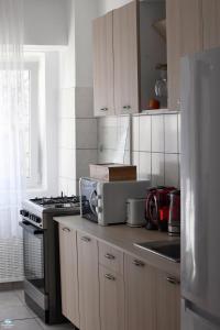 Modern semi-central 1 BR apartment, 3 parks nearby