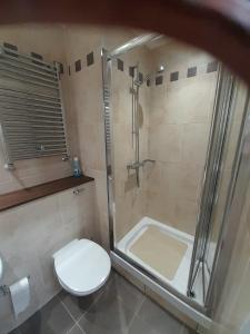 uma casa de banho com um chuveiro, um WC e um chuveiro em Killynick Glamping Oiney Fishing County Fermanagh em Enniskillen