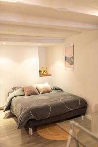 a bedroom with a large bed in a room at CONFORTABLE 2 PIÈCES AU CŒUR DU CENTRE HISTORIQUE in Vienne