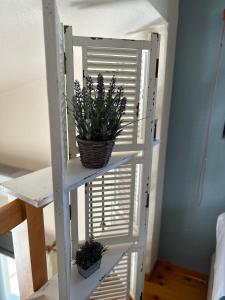 Fotografie z fotogalerie ubytování Melody Birds v destinaci Dhíkella