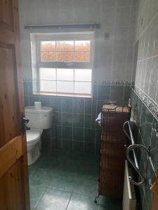 La salle de bains est pourvue de toilettes et d'une fenêtre. dans l'établissement Dromkeal View apartment, à Cork