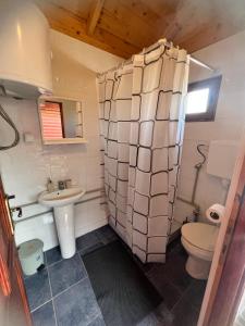 a small bathroom with a toilet and a sink at Ethno village Moraca - Skadar lake in Vranjina