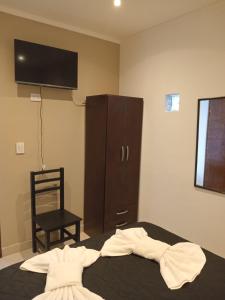 a bedroom with a bed with a tv and a chair at DEL SOL APART TERMAL I in Termas de Río Hondo