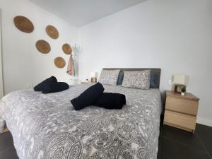 a bedroom with a large bed with blue pillows at Casilla de Costa, La Oliva in Villaverde