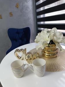 Příslušenství pro přípravu čaje a kávy v ubytování Apartment 1 Novi Sad