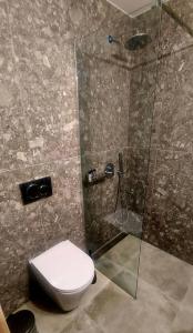 a bathroom with a shower with a toilet and a sink at Amimaya Apartments in Emporeiós