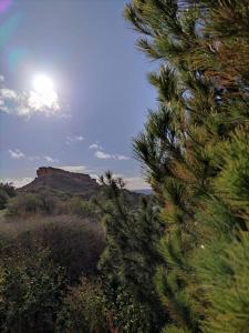 a view of a canyon with a tree in the foreground at Luxury en-suite Double. Beach-house with Sea Views in Mellieħa
