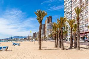 贝尼多姆VIRGINIA Levante beach apartments的海滩上一排棕榈树,有建筑
