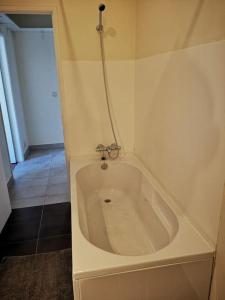Una bañera blanca en un baño con ducha. en Oeiras Historic Bedrooms, en Oeiras 85 fotos más