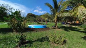 a palm tree and a blue tub in a yard at Cosy Apartment near the Lake in Tilarán