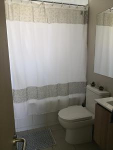 a bathroom with a toilet and a shower curtain at Departamento Pucón Nativo in Pucón