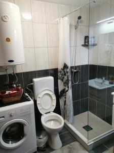 uma casa de banho com um WC, um chuveiro e uma máquina de lavar roupa em skopje modern studio em Skopje