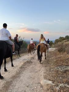 a group of people riding horses on a dirt road at Casa d'Amêndoa in Felgar