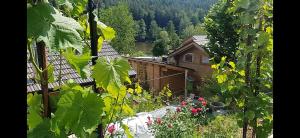 uma vista para um jardim com flores e uma casa em Holzhaus am See mit Panoramablick em Trausnitz