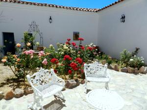 2 chaises blanches assises devant les fleurs dans l'établissement Cielo Arriba Casa, à Humahuaca
