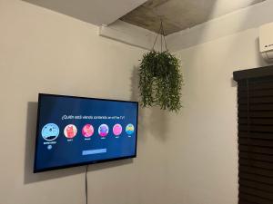 a flat screen tv on a wall with a plant at Satisfaction in San Juan