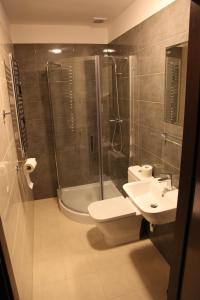 La salle de bains est pourvue d'une douche, de toilettes et d'un lavabo. dans l'établissement Hotel Restauracja Cztery Pory Roku, à Orneta