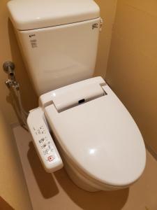 丰冈市Hotel Rakuseki Honkan的相册照片