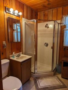 e bagno con doccia, servizi igienici e lavandino. di Cabin #2 a Strawberry