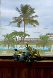a window with a view of a palm tree at 海戀初衷文旅 近東大門 in Hualien City