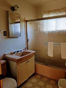 a bathroom with a sink and a shower at Cabin #10 in Strawberry