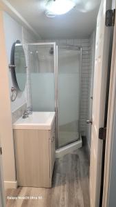 a bathroom with a shower and a sink and a mirror at A very nice Basement ensuite. in Calgary