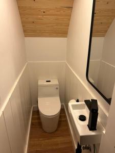 a small bathroom with a toilet and a sink at Cabin #8 in Strawberry