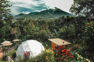 a tent in a garden with a mountain in the background at Domeino Dome Suites in Minnesota Hacienda