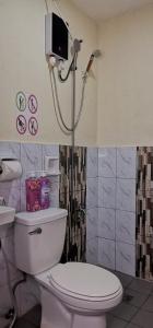 a bathroom with a toilet and a shower with a tv on the wall at CHATEAU DE CHLOE - 3 Bedroom Entire Apartment for Large Group in Tacloban