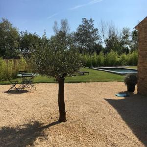 a tree in the middle of a yard with a picnic table at Villa neuve et moderne avec piscine à Grimaud in Grimaud