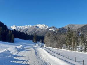 Apartment in Bodental near Ski Slopes during the winter