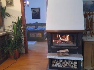 Kép Apartment in Bodental near Ski Slopes szállásáról Oreinschnakban a galériában