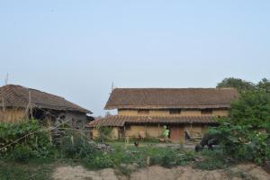 an elephant standing in front of a building at Bhada Community Homestay 