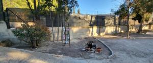 una gabbia di battuta in un cortile vicino a una recinzione di ALOJAMIENTO RURAL CEREZO a Murcia