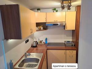 Cucina o angolo cottura di Dům Tamara
