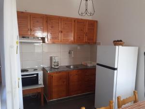 a kitchen with wooden cabinets and a white refrigerator at Porto Heli Apartments in Palekastron +54 photos