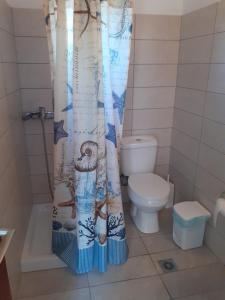 ein Bad mit einem WC und einem Duschvorhang in der Unterkunft Porto Heli Apartments in Palekastro