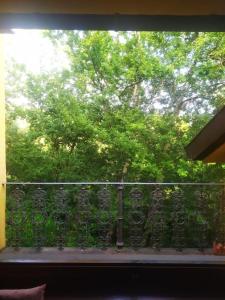 ventana de balcón con vistas a los árboles en Casa gialla nel bosco, en Reggello