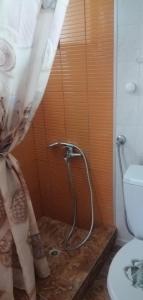 a shower in a bathroom with a toilet at Villa house Beach house N Hrakleia Xalkidikis No4 in Nea Irakleia