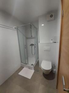 y baño blanco con ducha y aseo. en Zemunske kapije, en Novi Grad
