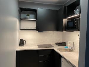 Kuchyň nebo kuchyňský kout v ubytování Apartamenty TOP Garbary